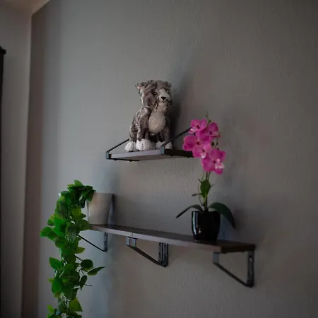 דירה Dresdenstay Gemuetlich Naehe Universitaet Kamin Parkplatz Ps4